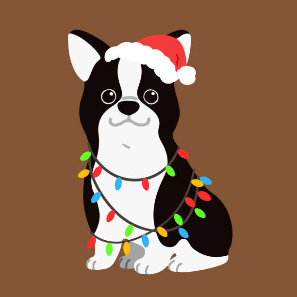 70+ Boston Terrier Christmas Stock Illustrations, Royalty-Free Vector ...