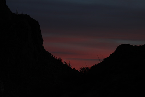 Sajuaros silhouetted in an Arizona sunset at Gates Pass near Tucson