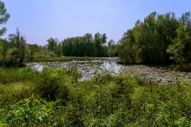 istock protected nature oasis in northern Italy 1676522515