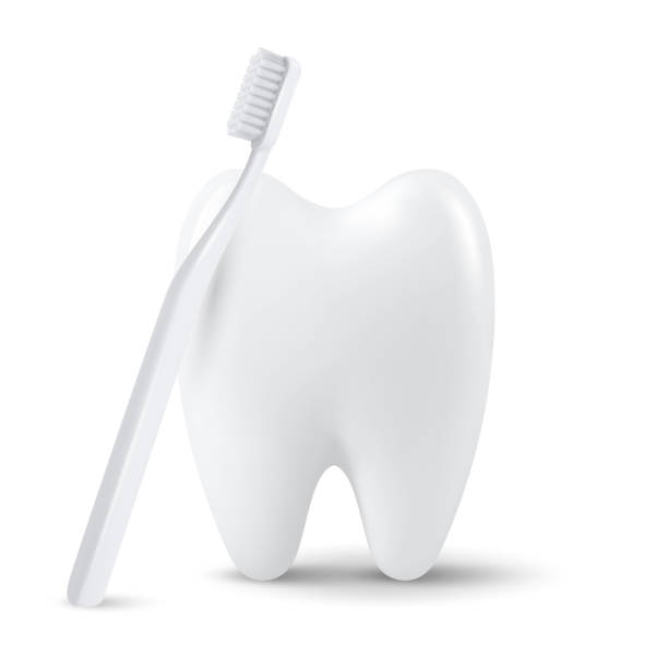 istock Vector 3d Realistic Tooth with Toothbrush Isolated on White Background. Medical Dentist Design Template, Clipart. Dental Health Concept 1676525124