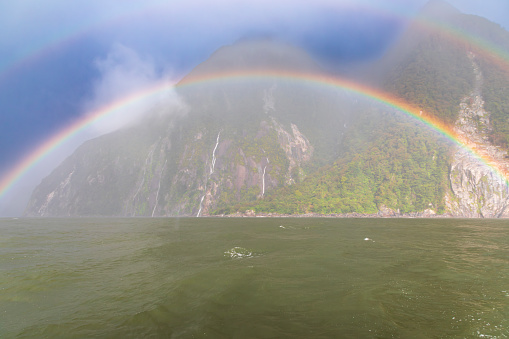 Photograph of a colourful and vibrant rainbow over the water in front of mountains in Milford Sound in Fiordland National Park on the South Island of New Zealand