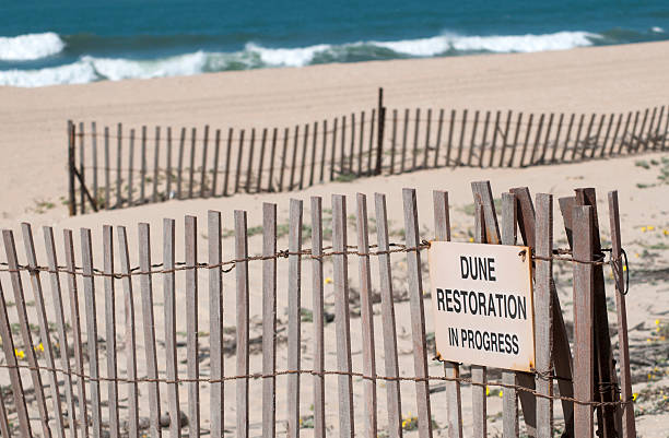 dune restaurierung - sand sea oat grass beach sand dune stock-fotos und bilder