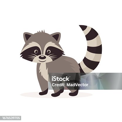 istock Flat Vector Cute Raccoon. Little Raccoon Icon. Adorable Walking Raccoon Cartoon Character Isolated on White Background, Side View 1676539705
