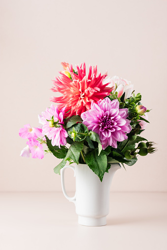 Bouquet of red and pink dahlias on a cream-colored background.