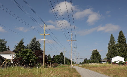 Power Lines in a Neighborhood in Vancouver, Canada