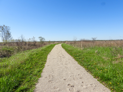 Nature Trail Path with a Blue Sky Background