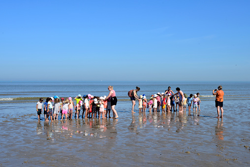 Blankenberge, West-Flanders, Belgium September 7, 2023:  One teacher is going to photograph the group Belgian female teachers with their schoolchildren, toddlers in a line feet in the sea water in September