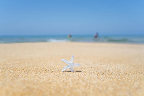 Silver starfish, star on sand beach with sea water background. Vacation concept