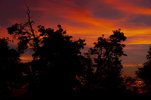 Dark silhouette of leaf trees after cloudy red sunset in Krkonose hot mountains