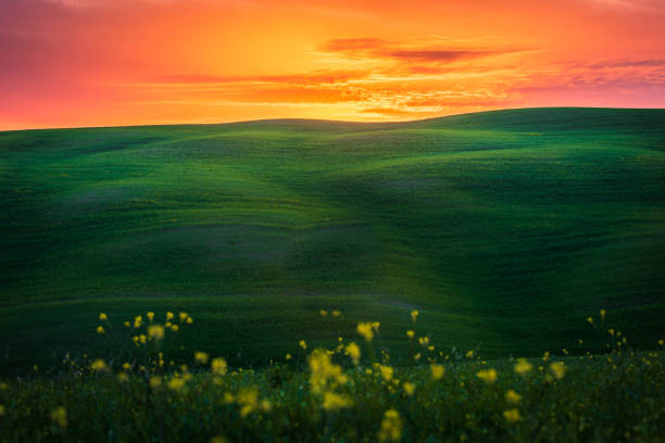 istock A dreamy landscape at the sunset 1676642382