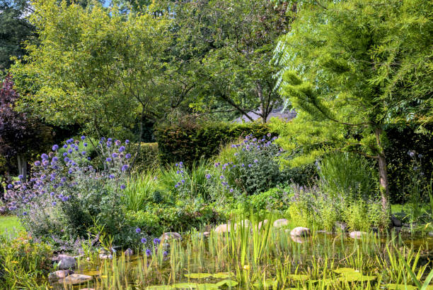 istock an idyllic natural garden in bloom with a beautiful pond 1676642902