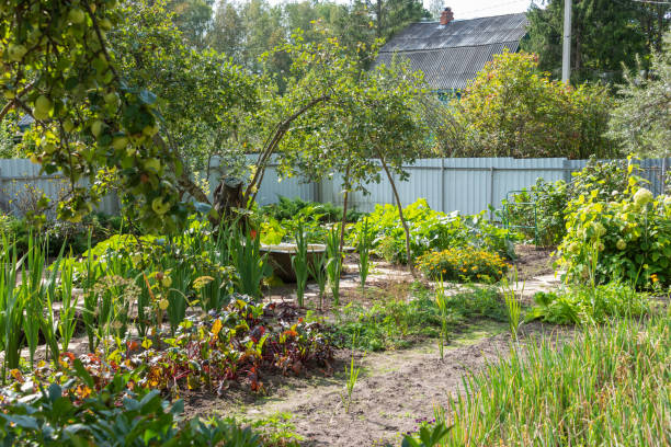 istock Garden with vegetable beds, fruit trees and flowers. 1676655439