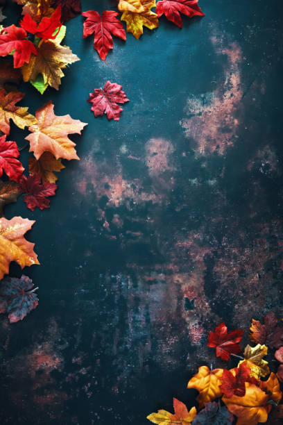 istock Autumn Decoration with Pumpkins and Leafs on Rustic Background 1676663121