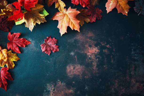 istock Autumn Decoration with Pumpkins and Leafs on Rustic Background 1676664209