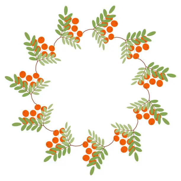 Vector illustration of wreath of autumn mountain ash. Vector design for autumn greeting card, poster, logo. Empty autumn frame.