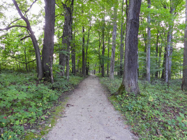 istock Woodland Forest Nature Trail Path 1676688867