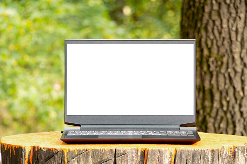 A laptop with a white screen stands on a stump in a park in the summer sun in Ukraine, space for text on the laptop, laptop in nature, business and technology