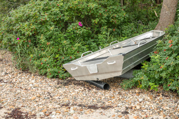 aluminum boat on rollers on the shore among rose hips