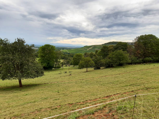 istock Landscape South-West of Germany 1676774357
