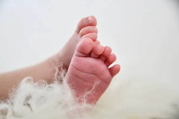 Serie of aTender Feet of a Newborn Girl, Taken From Different Angles, Showing her Soft Skin And Little Toes.