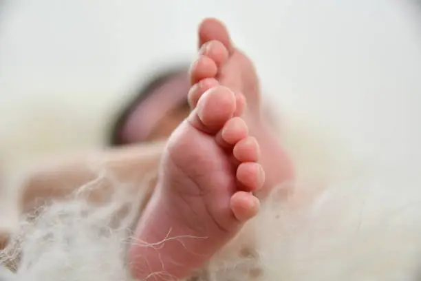 Serie of Photografic sesion of a aTender Feet of a Newborn Girl, Taken From Different Angles, Showing her Soft Skin And Little Toes.