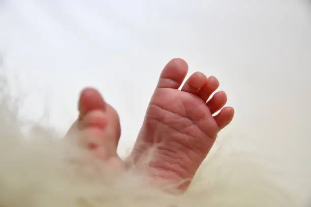 Serie of aTender Feet of a Newborn Girl, Taken From Different Angles, Showing her Soft Skin And Little Toes.