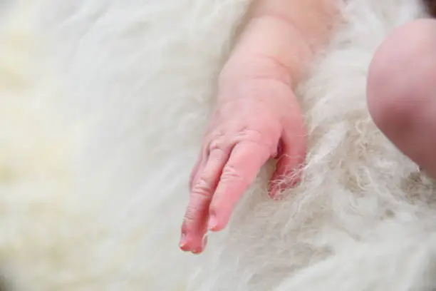 Tender Hands of a Newborn Girl, Taken From Different Angles, Showing Her Soft Skin and Little Fingers.
