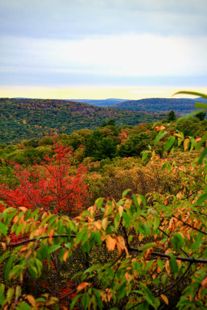 istock Hudson Valley in Autumn 1676852752