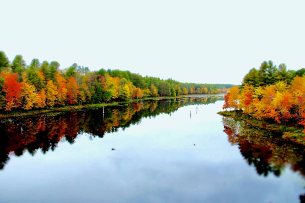 istock Contookook River in Autumn 1676852792