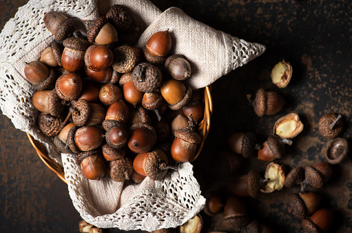 Bunch of acorns in a bowl on an old metal brown background. From above