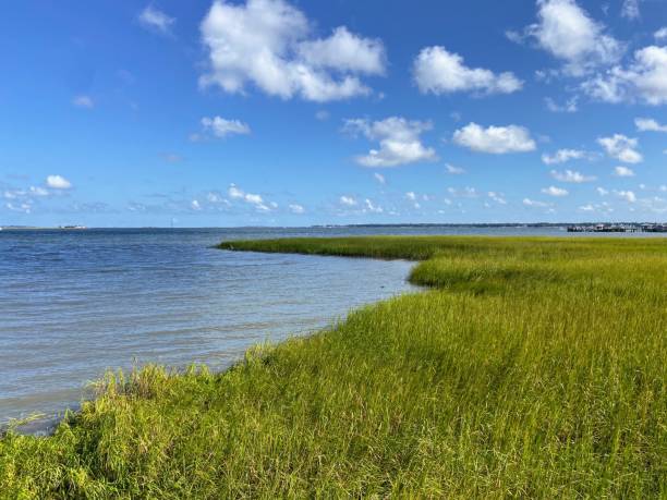 istock Coastline in Charleston, South Carolina 1676890271