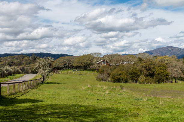 istock A green field, fence and red house. 1676891175