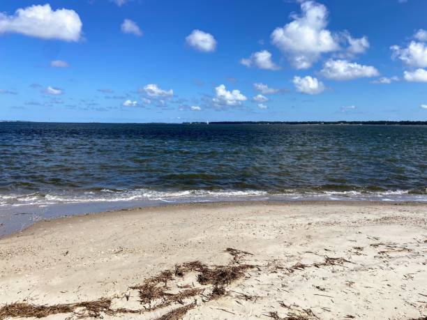 istock Beach in Charleston, South Carolina 1676891719