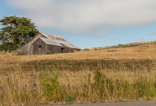 An old beat up barn is near the top left of the photo. A tree is behind it. A fence and golden colored grass field is between. A blue sky with clouds.