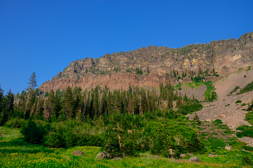 Cliffs above Little Strawberry Lake with a nice wildflower meadow below it in the wilderness of Central Oregon.