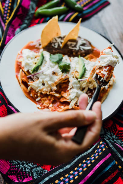 Mexican chilaquiles food with spicy red sauce, chicken and avocado traditional breakfast in Mexico Latin America