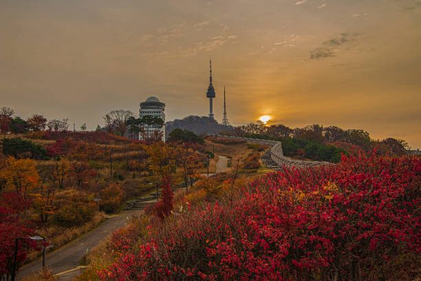 istock During the foliage season, the sun is setting on the tower. 1676939002