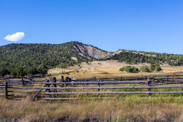 istock Landscape near Ridgway, Colorado 1676962856