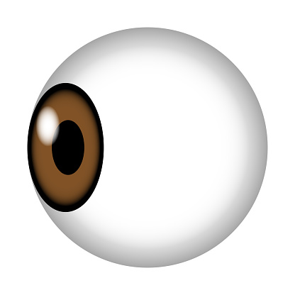 Horizontal Human Eyeball Vector Illustration