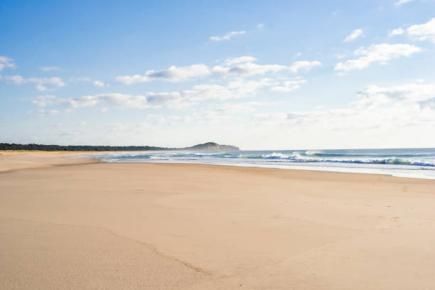istock morning at the beach 1677019005