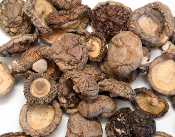 istock Dried shiitake mushrooms on white background 1677021483