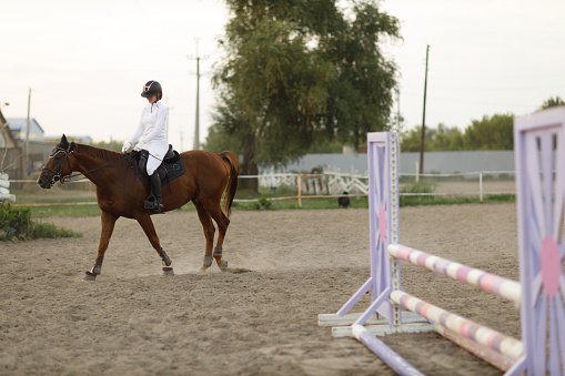 Dressage horse and rider in uniform during equestrian jumping competition