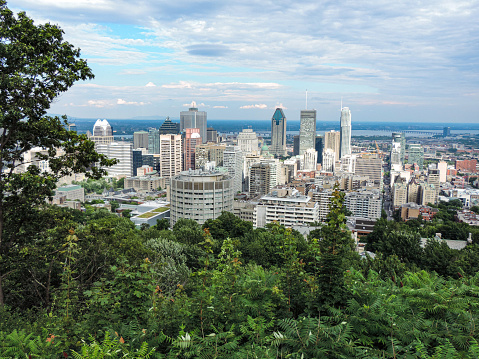 Commercial buildings in the city of Montreal seen from Mont Royal