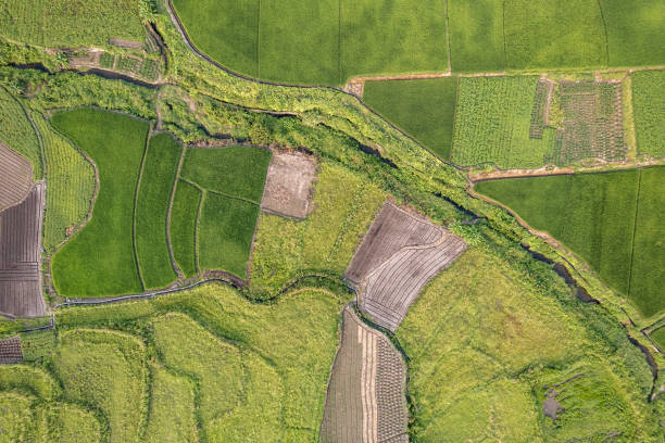 istock Aerial texture map of rural farmland 1677112407