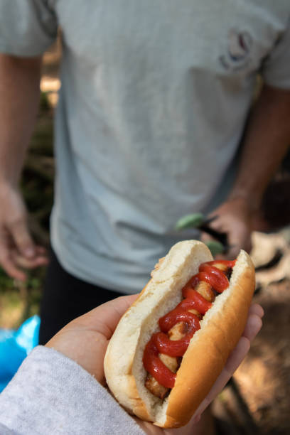 istock Sharing a hot dog with ketchup at campsite BBQ 1677181095