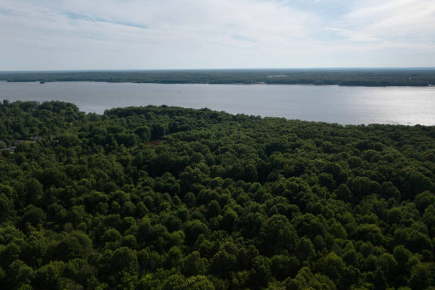 istock Aerial view covered in trees lake and sky 1677183293