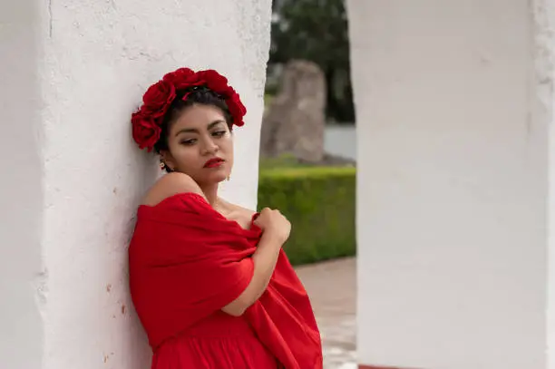 Pretty Young girl wearing classical mexican dress red, like flamingo