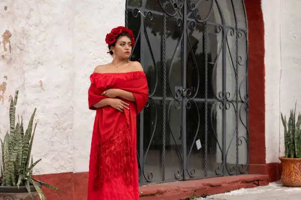 Pretty Young girl wearing classical mexican dress red, like flamingo