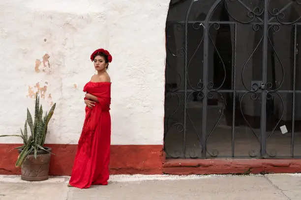 Pretty Young girl wearing classical mexican dress red, like flamingo