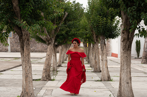 Pretty Young girl wearing classical mexican dress red, like flamingo